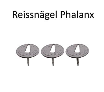 Reissnägel_Phalanx.jpg